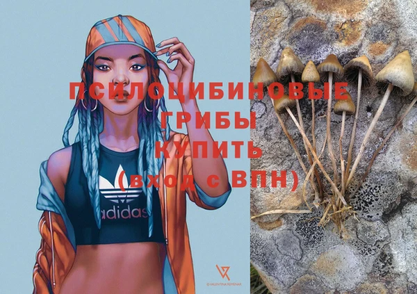 прущая мука Вязьма
