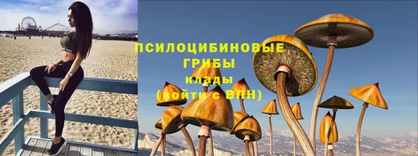 прущая мука Вязьма