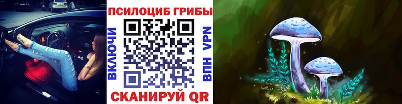 Купить где Тюкалинск Галлюциногенные грибы GOLDEN TEACHER